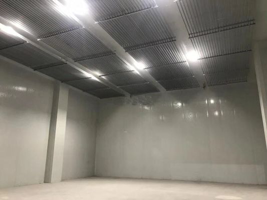 Automatic Freezer Cold Chain Warehouse For Frozen Foods With Refrigeration System